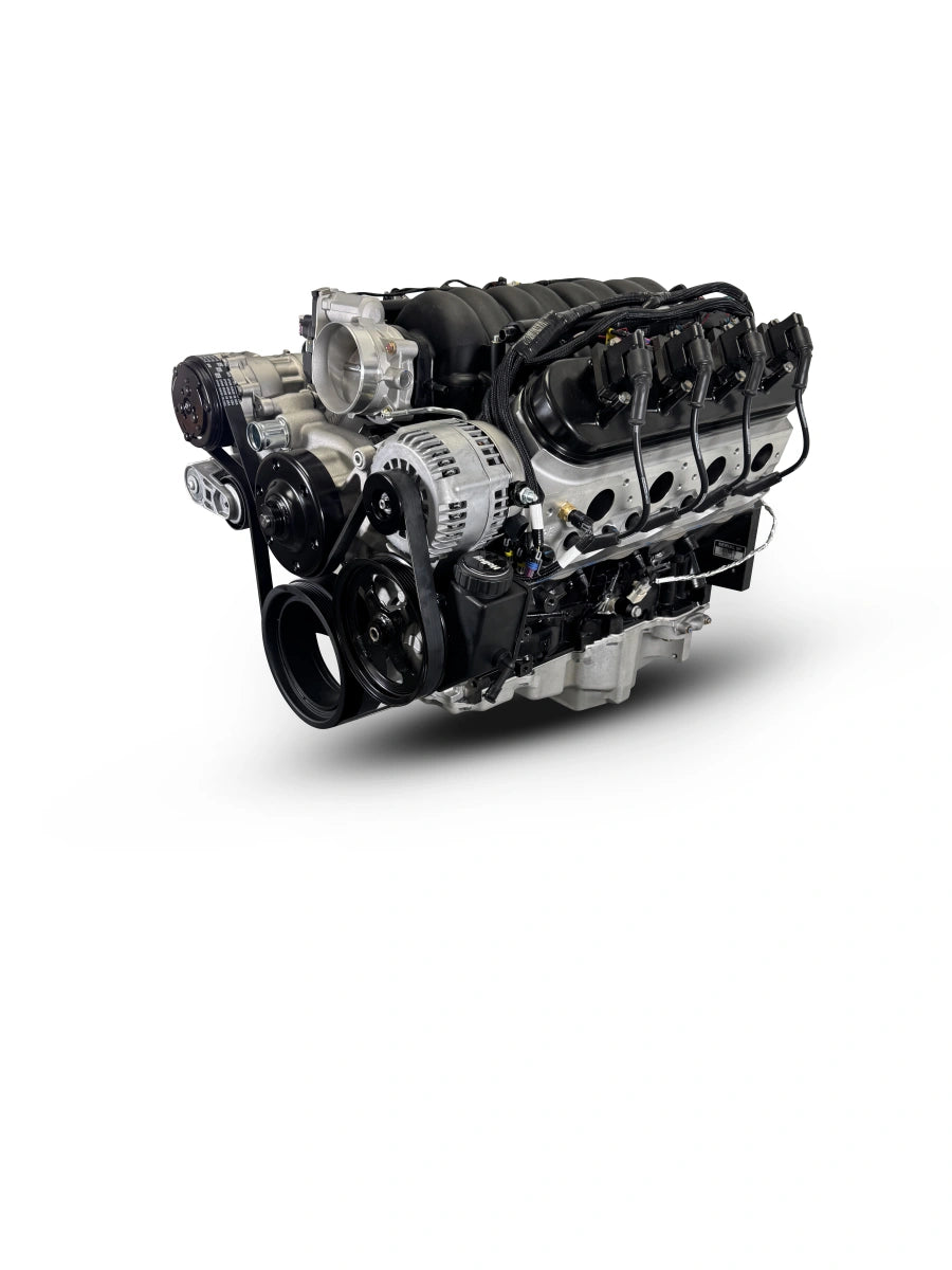 BluePrint Engines GM LS Compatible 376 c.i. Pro Series Engine - GM Plastic Intake - Deluxe Dressed - Natural Pulley Kit - Holley Terminator X EFI System